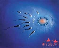 试管婴儿供卵费用_上海地下供卵需要多少钱_广西生殖健康中心 试管成功率的影