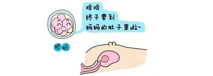 哪里有代妈[上海添喜助孕]+巫山姐妹了解下33岁做试管婴儿放几个胚胎好
