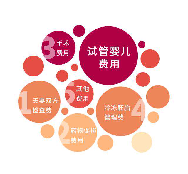 上海正规代生地址 2022年上海集爱第三代试管费用表 ‘b超孕囊只有一个数值能